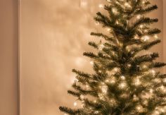 ¿Qué significan las luces en los árboles de Navidad? Una tradición que ilumina las fiestas