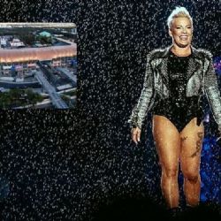 ¡Pink regresa a México!; la cantante vuelve a nuestro país después de más de 15 años