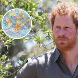 ¿El príncipe Harry planea hacerse ciudadano estadounidense?; esto es lo que se sabe al respecto