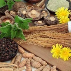 ¿Qué son los adaptógenos y por qué están ganando tanta atención?