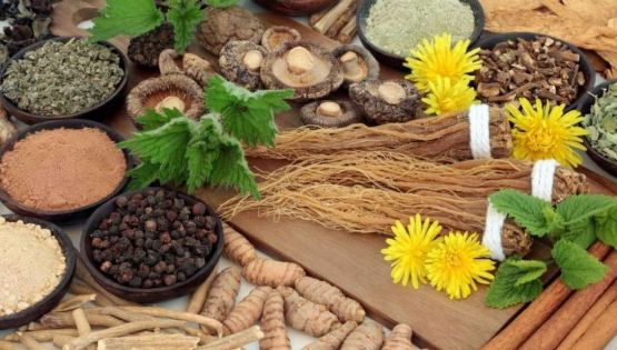 ¿Qué son los adaptógenos y por qué están ganando tanta atención?