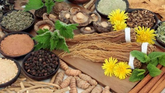 ¿Qué son los adaptógenos y por qué están ganando tanta atención?