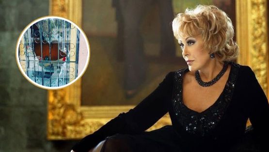 Vandalizan tumba de Silvia Pinal; ladrones se llevaron objetos personales de la diva | FOTOS