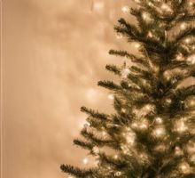 ¿Qué significan las luces en los árboles de Navidad? Una tradición que ilumina las fiestas