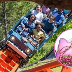 Este es el parque de atracciones que superó a Disneyland como el favorito de Estados Unidos
