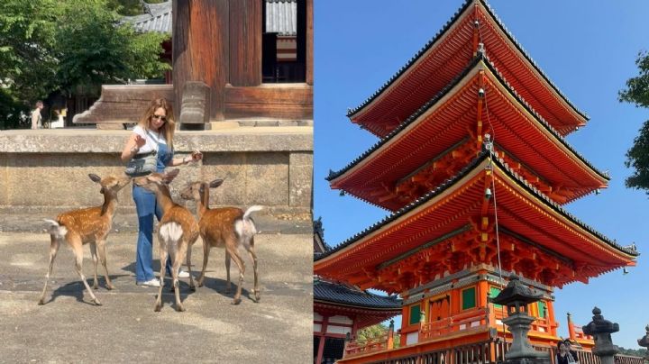 Geraldine Bazán vive insólita experiencia con un ciervo en Kyoto | VIDEO