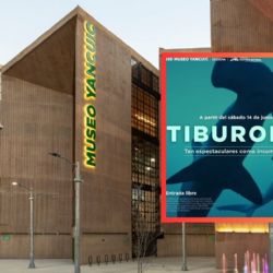 Exposición de tiburones GRATIS en el Museo Yancuic: directo desde Nueva York