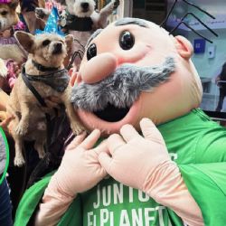 Farmacias Similares lanza SimiPet Care, su nuevo consultorio veterinario de bajo costo