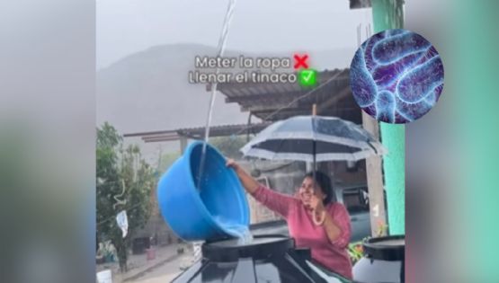 Mujer se vuelve viral al llenar el tinaco de su casa con agua de lluvia, ¿es seguro hacerlo?