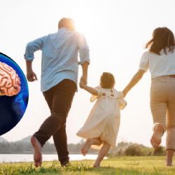 Ser hijo único afecta el desarrollo cerebral; esto debes saber