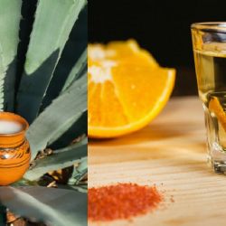 Llega la Feria del Pulque y el Mezcal: descubre cuándo, dónde y todo lo que habrá
