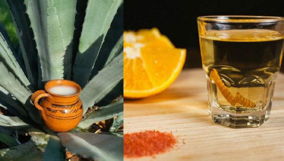 Llega la Feria del Pulque y el Mezcal: descubre cuándo, dónde y todo lo que habrá