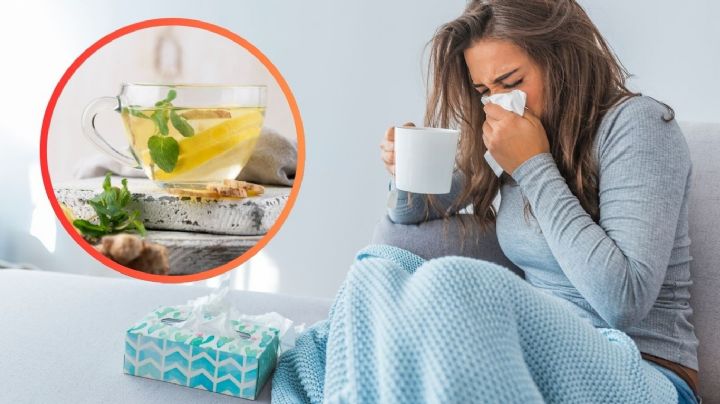 ¿Tos y congestión? Este poderoso té te ayuda a despejar las vías respiratorias