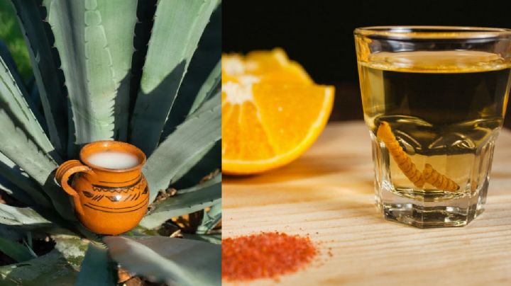 Llega la Feria del Pulque y el Mezcal: descubre cuándo, dónde y todo lo que habrá
