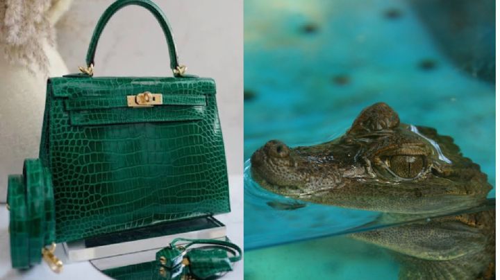 Hermès: las carteras hechas con piel de cocodrilo de las que todos están hablando