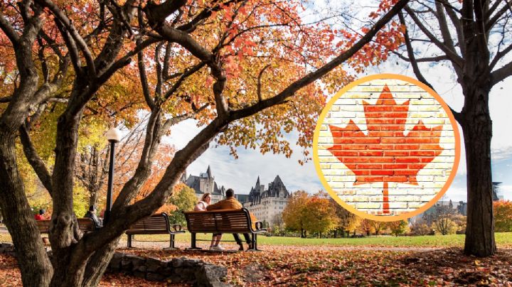 Nueva política migratoria de Canadá podría beneficiar a los mexicanos