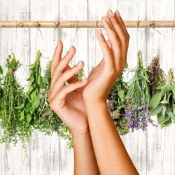 ¿Uñas débiles? Estas plantas naturales te ayudarán a lucir una manicura fuerte y hermosa este verano