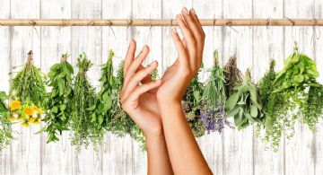 ¿Uñas débiles? Estas plantas naturales te ayudarán a lucir una manicura fuerte y hermosa este verano