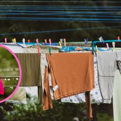 ¿Lluvia y sin secadora? Trucos caseros para secar tu ropa rápido y sin mal olor