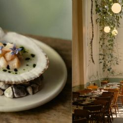 Rosetta, el restaurante mexicano con un modelo de cocina sustentable, y multipremiado mundialmente