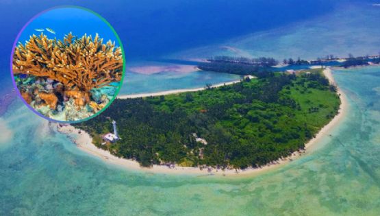 Aguas turquesa y playas vírgenes: la joya natural que pocos conocen...y no está en el Caribe