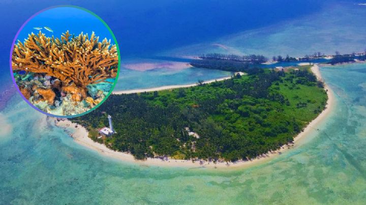 Aguas turquesa y playas vírgenes: la joya natural que pocos conocen...y no está en el Caribe