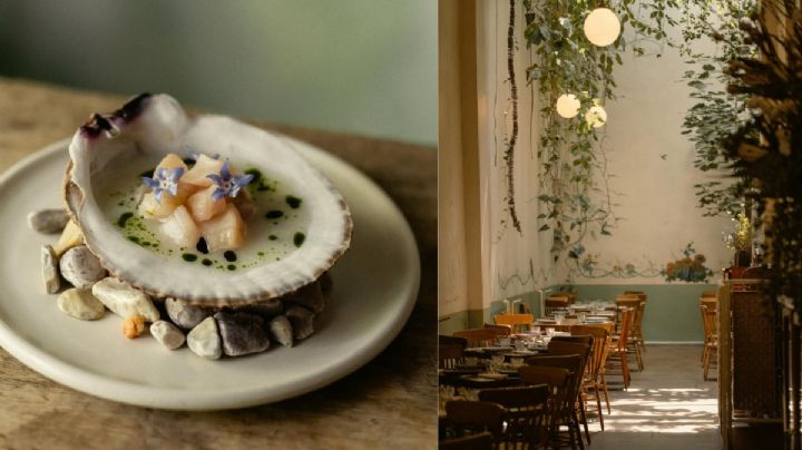 Rosetta, el restaurante mexicano con un modelo de cocina sustentable, y multipremiado mundialmente