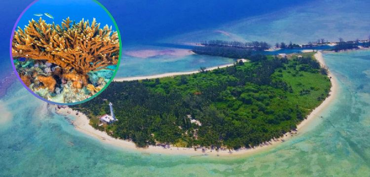 Aguas turquesa y playas vírgenes: la joya natural que pocos conocen...y no está en el Caribe