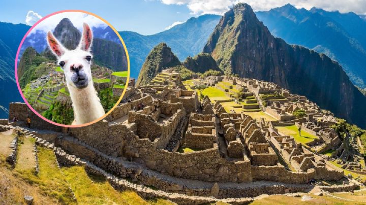 Machu Picchu entra en polémica lista de destinos turísticos que 'ya no valen la pena'