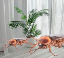 ¿Tienes esta planta? Podrías estar atrayendo cucarachas a tu casa