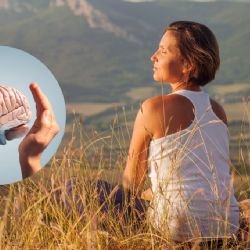 Cómo prevenir la demencia: hábitos simples que salvan tu memoria