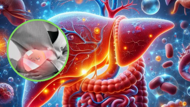 Hígado graso: expertos revelan las claves para revertirlo y recuperar la salud hepática