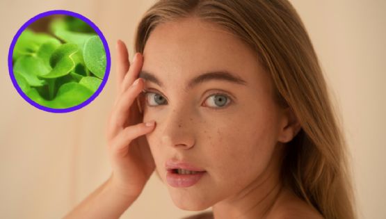 ¿La fuente de la juventud? El ingrediente natural que mejora la producción de colágeno y elastina