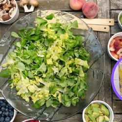 Alimentos que te hacen bien después de los 30: piel, digestión y energía en equilibrio