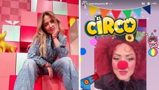 '¡Ay, quiero llorar!': Andrea Legarreta celebra su cumpleaños 54 en un 'circo' | VIDEO
