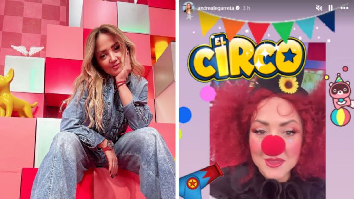 '¡Ay, quiero llorar!': Andrea Legarreta celebra su cumpleaños 54 en un 'circo' | VIDEO