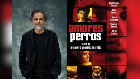 Iñárritu celebra 25 años de Amores Perros con exposición internacional  '¿Qué es Sueño Perro?'