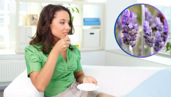 ¿Estrés acumulado? Descubre los beneficios del té de lavanda para calmar la mente y alma