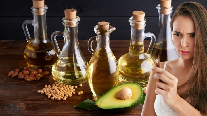 ¿Cabello débil o sin vida? Estos aceites naturales te pueden salvar