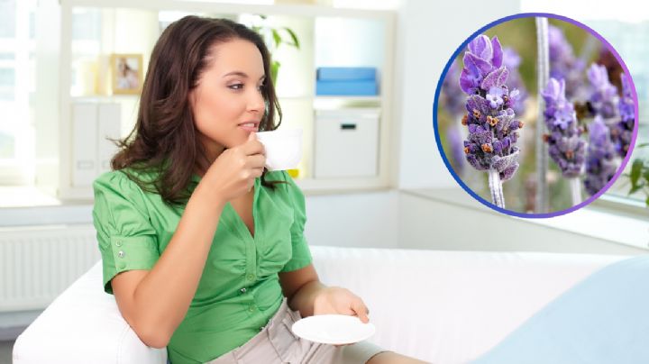 ¿Estrés acumulado? Descubre los beneficios del té de lavanda para calmar la mente y alma