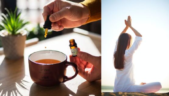Terapias alternativas que sanan cuerpo y mente: conoce sus beneficios”