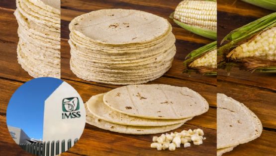 Tortillas y salud: cuántas debes comer según el IMSS y la UNAM