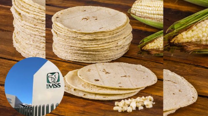 Tortillas y salud: cuántas debes comer según el IMSS y la UNAM