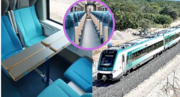 El Tren Maya lanza paquetes turísticos desde 16 mil pesos; ¡aventúrate en el Caribe maya!
