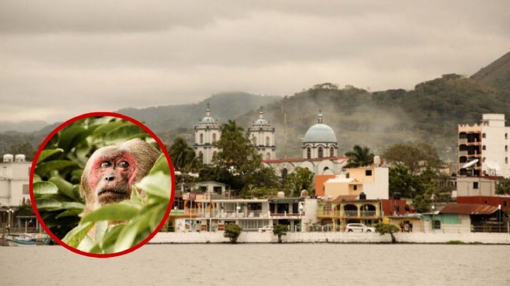 Catemaco, la joya mística de Veracruz: rituales, lagos y paisajes que te van a sorprender