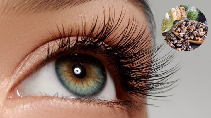 Descubre el secreto natural para pestañas fuertes y sin extensiones