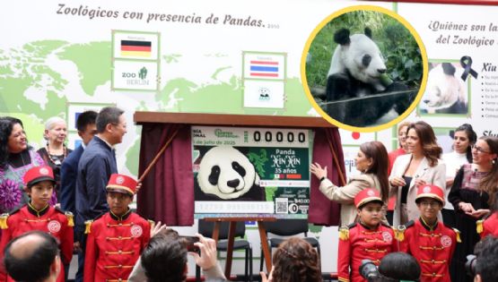 Xin Xin la panda mexicana protagoniza billete de Lotería Nacional, así puedes conseguir el tuyo
