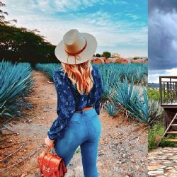 ¿Te atreves a dormir en una barrica? Este hotel ofrece la experiencia más instagrameable de México
