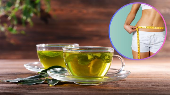 Té verde: el poderoso antioxidante milenario que ayuda a quemar grasa y a lucir más joven
