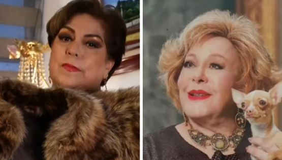 Así reaccionó 'Cosita', la perrita de Silvia Pinal, al olfatear un abrigo de la primera actriz | VIDEO